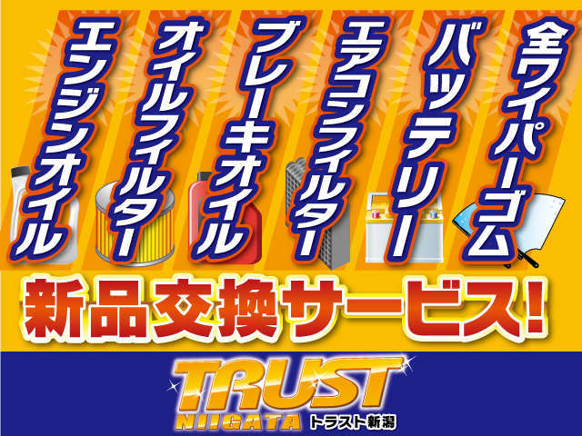 トラスト新潟 南店