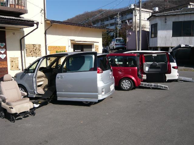 ムユウジュの森の自動車