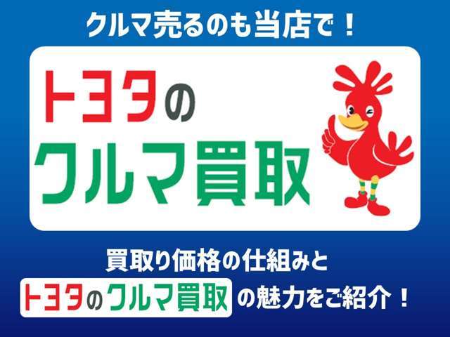 ネッツトヨタ北九州 シャント小倉南店