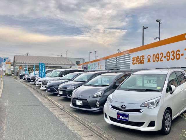 トヨタカローラ福岡 志免店