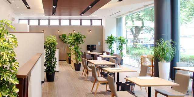 ホンダカーズ東京中央 中村橋店