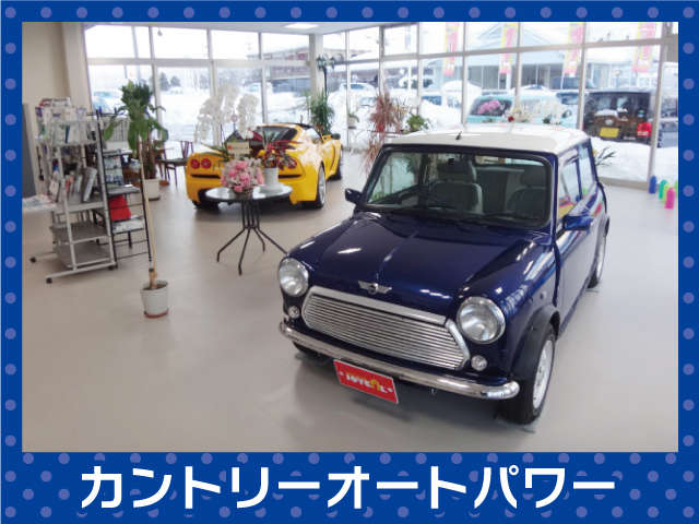 株式会社カントリーオートパワー ジョイカル アップルライン店