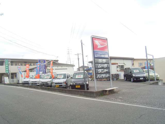 ムユウジュの森の自動車