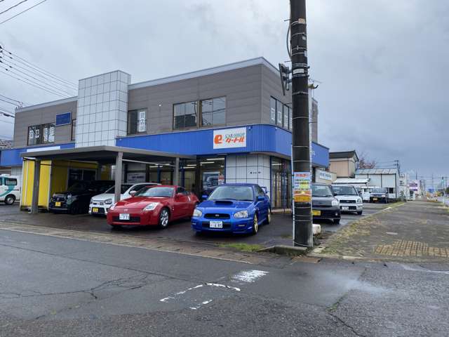 e-タートル