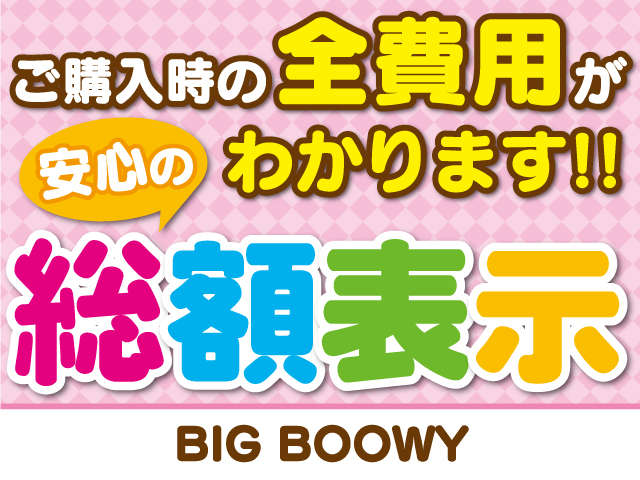 BIG BOOWY