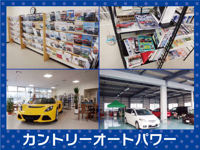 株式会社カントリーオートパワー ジョイカル アップルライン店