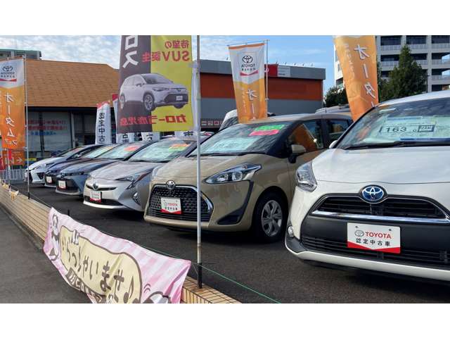 トヨタカローラ鹿児島 郡元マイカーセンター