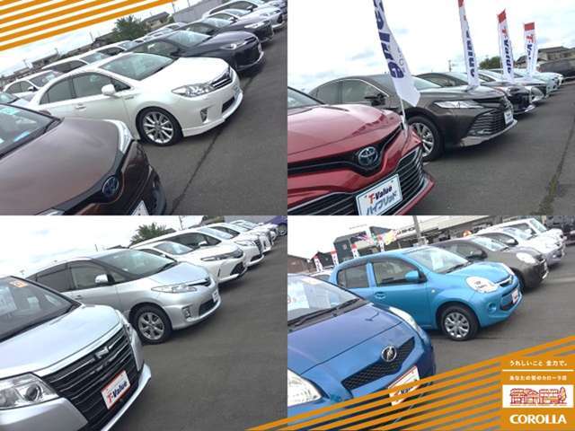 トヨタカローラ新茨城 プラザ勝田店