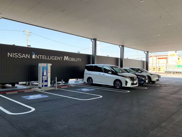 三河日産自動車(株) 岡崎中央店