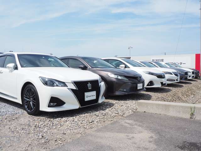 Auto Rerize