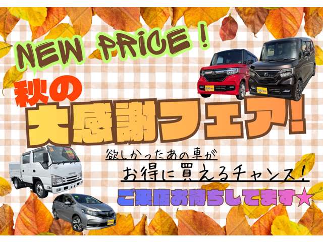 CAR CITY AKITA エスエム自動車商会 元清水店