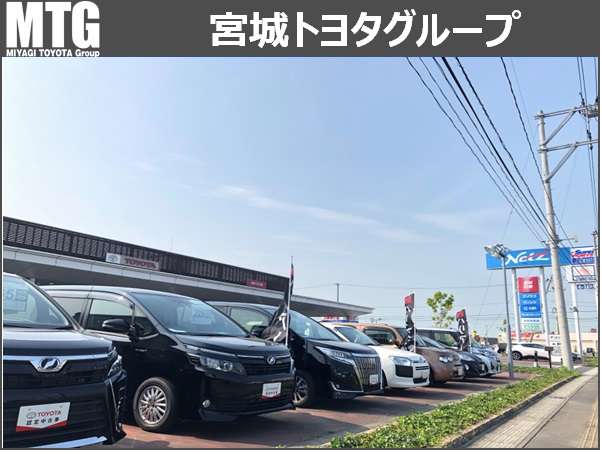 宮城トヨタグループ MTG石巻/宮城トヨタ自動車
