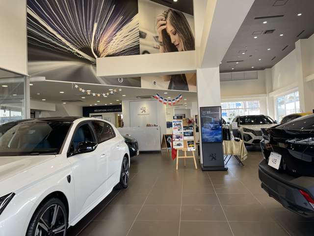PEUGEOT 柏