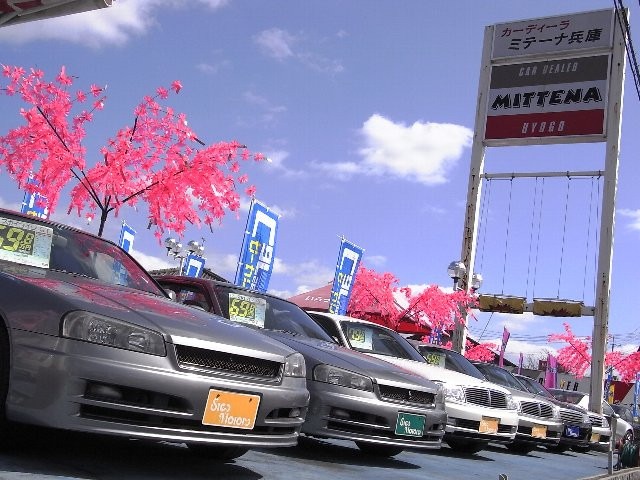 ステップモータース 本店