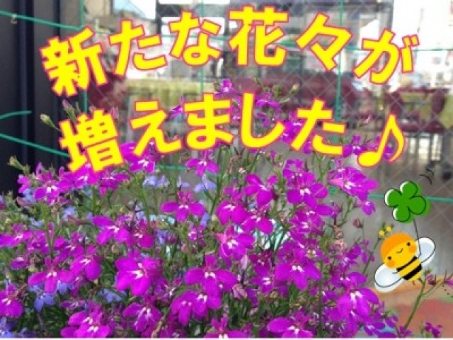 スズキ自販近畿 寝屋川センター