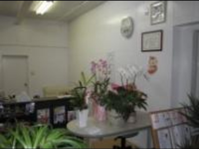 ステップオート